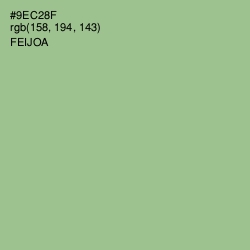 #9EC28F - Feijoa Color Image