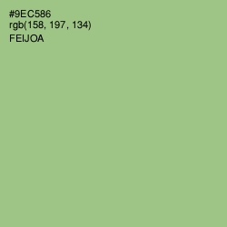 #9EC586 - Feijoa Color Image