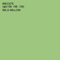 #9EC67E - Wild Willow Color Image