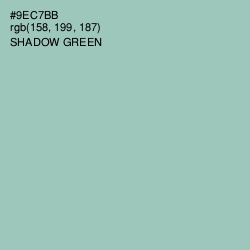 #9EC7BB - Shadow Green Color Image