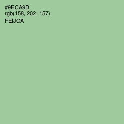 #9ECA9D - Feijoa Color Image