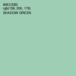 #9ECEB3 - Shadow Green Color Image