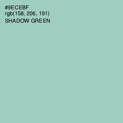 #9ECEBF - Shadow Green Color Image