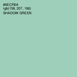 #9ECFBA - Shadow Green Color Image