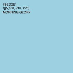 #9ED2E1 - Morning Glory Color Image