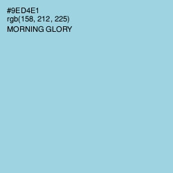 #9ED4E1 - Morning Glory Color Image