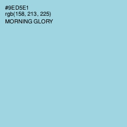 #9ED5E1 - Morning Glory Color Image
