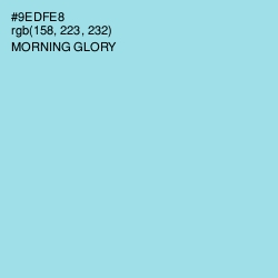 #9EDFE8 - Morning Glory Color Image