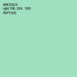 #9EE0C0 - Riptide Color Image