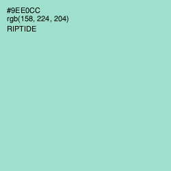 #9EE0CC - Riptide Color Image
