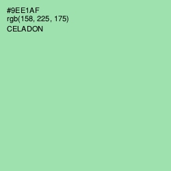 #9EE1AF - Celadon Color Image