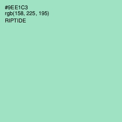 #9EE1C3 - Riptide Color Image