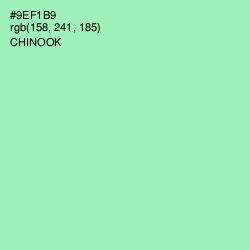 #9EF1B9 - Chinook Color Image