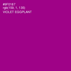 #9F0187 - Violet Eggplant Color Image