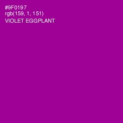 #9F0197 - Violet Eggplant Color Image