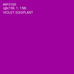 #9F019E - Violet Eggplant Color Image