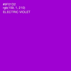 #9F01D2 - Electric Violet Color Image