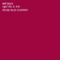 #9F0640 - Rose Bud Cherry Color Image