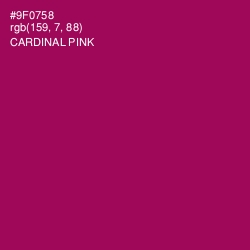 #9F0758 - Cardinal Pink Color Image