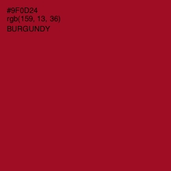 #9F0D24 - Burgundy Color Image