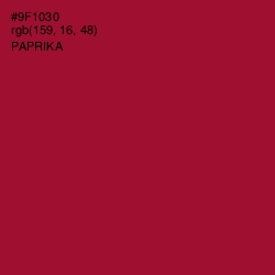 #9F1030 - Paprika Color Image