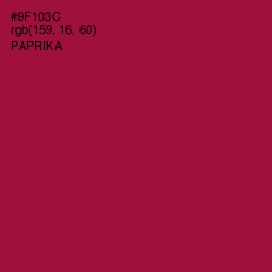 #9F103C - Paprika Color Image