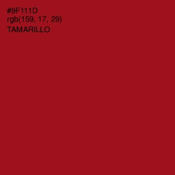 #9F111D - Tamarillo Color Image