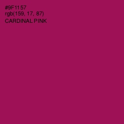 #9F1157 - Cardinal Pink Color Image