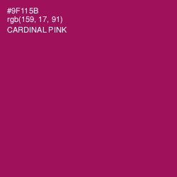 #9F115B - Cardinal Pink Color Image