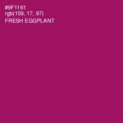 #9F1161 - Fresh Eggplant Color Image