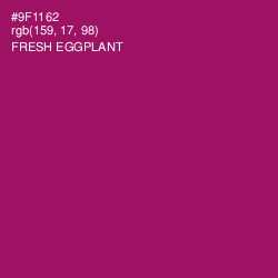 #9F1162 - Fresh Eggplant Color Image