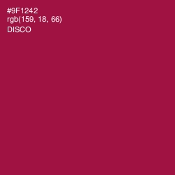#9F1242 - Disco Color Image