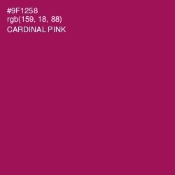 #9F1258 - Cardinal Pink Color Image