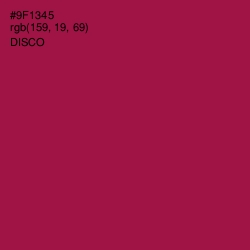 #9F1345 - Disco Color Image