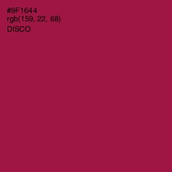 #9F1644 - Disco Color Image