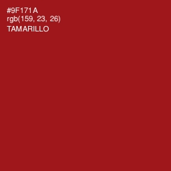 #9F171A - Tamarillo Color Image