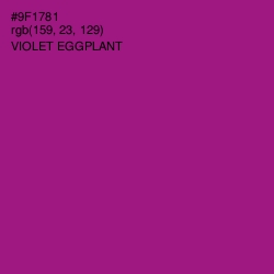 #9F1781 - Violet Eggplant Color Image