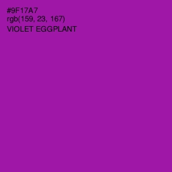 #9F17A7 - Violet Eggplant Color Image