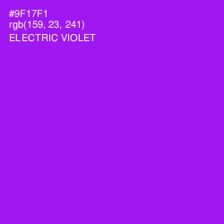 #9F17F1 - Electric Violet Color Image