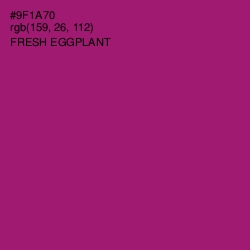 #9F1A70 - Fresh Eggplant Color Image