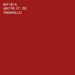 #9F1B1A - Tamarillo Color Image