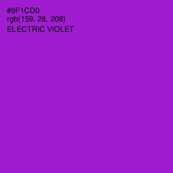 #9F1CD0 - Electric Violet Color Image