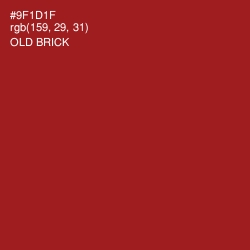 #9F1D1F - Old Brick Color Image