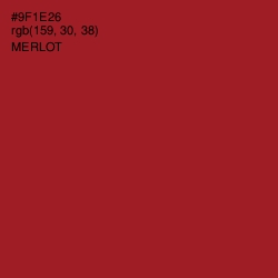 #9F1E26 - Merlot Color Image
