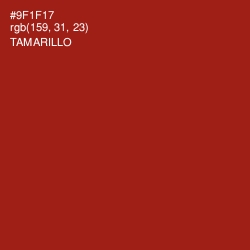 #9F1F17 - Tamarillo Color Image