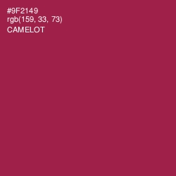 #9F2149 - Camelot Color Image