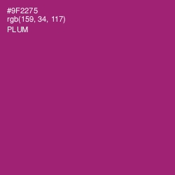 #9F2275 - Plum Color Image