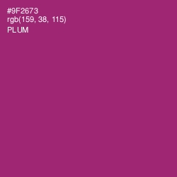 #9F2673 - Plum Color Image