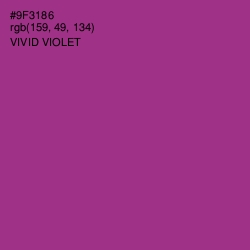 #9F3186 - Vivid Violet Color Image
