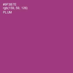 #9F3B7E - Plum Color Image